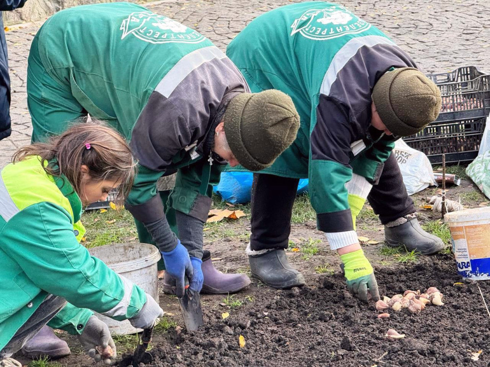 8407 image for slide