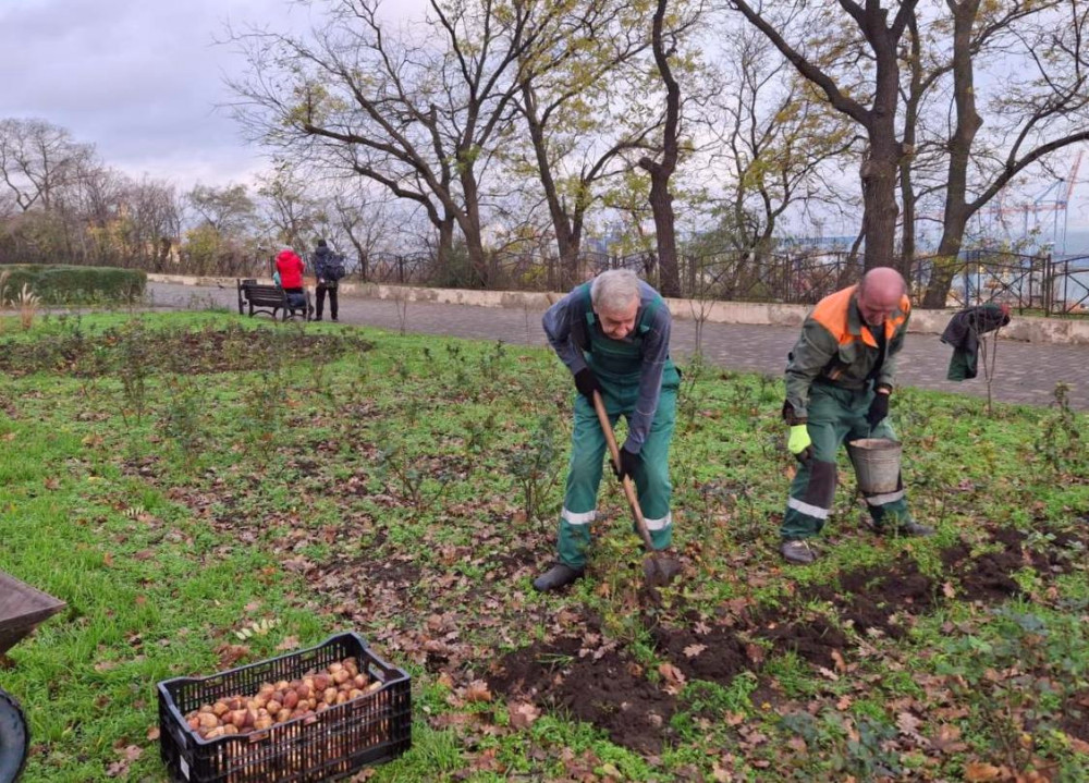 8408 image for slide