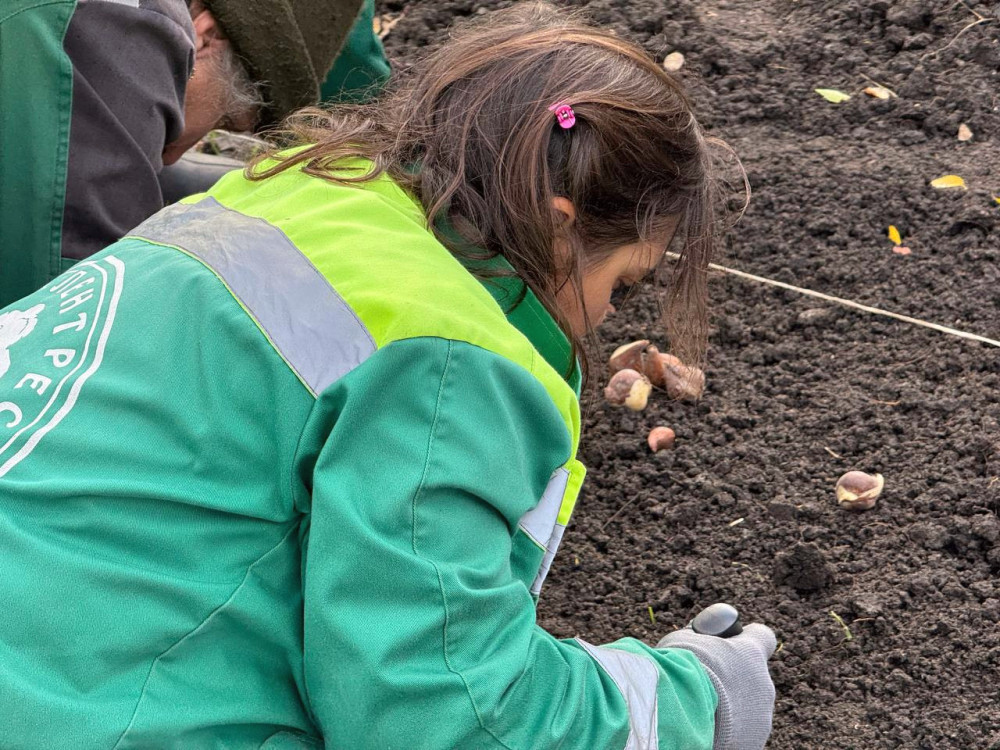 8409 image for slide