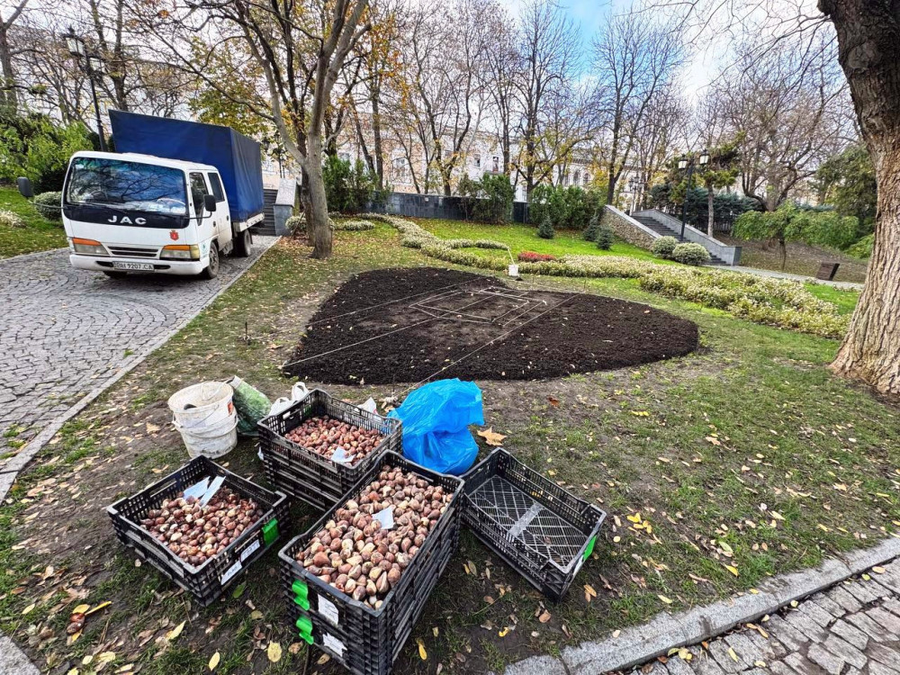 8411 image for slide