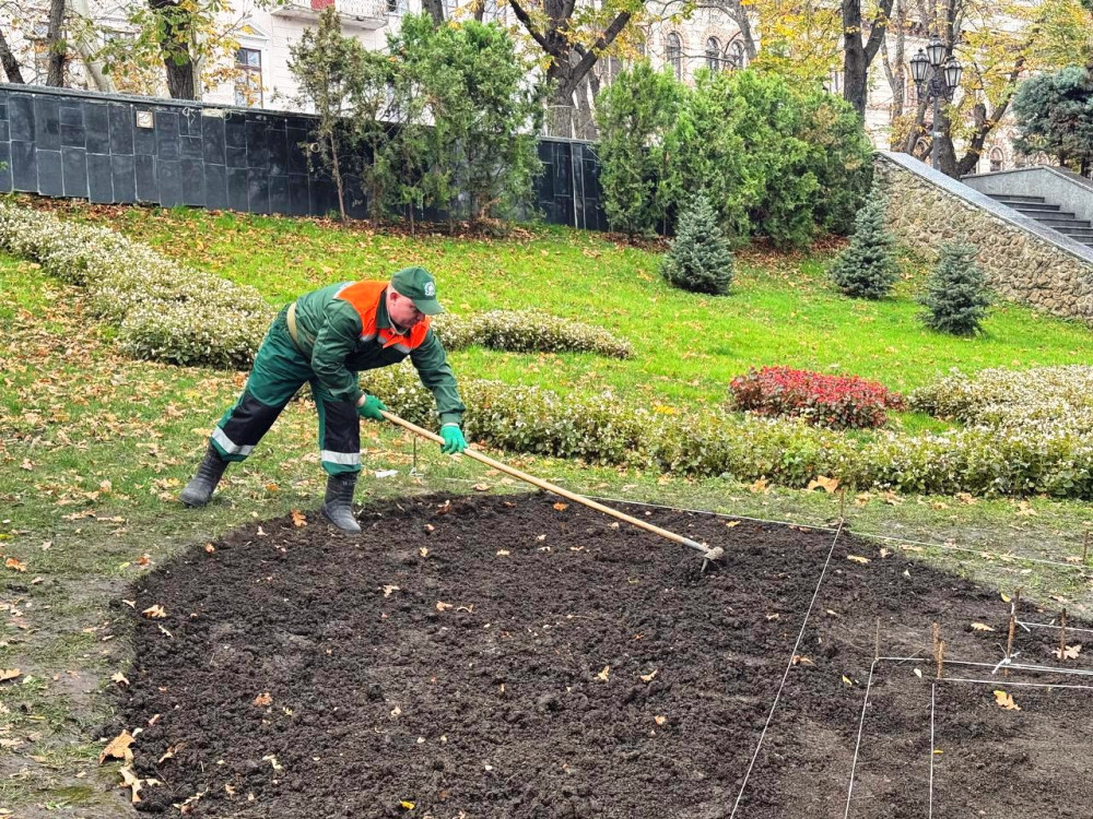 8412 image for slide