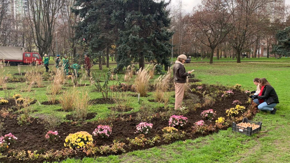 8413 image for slide