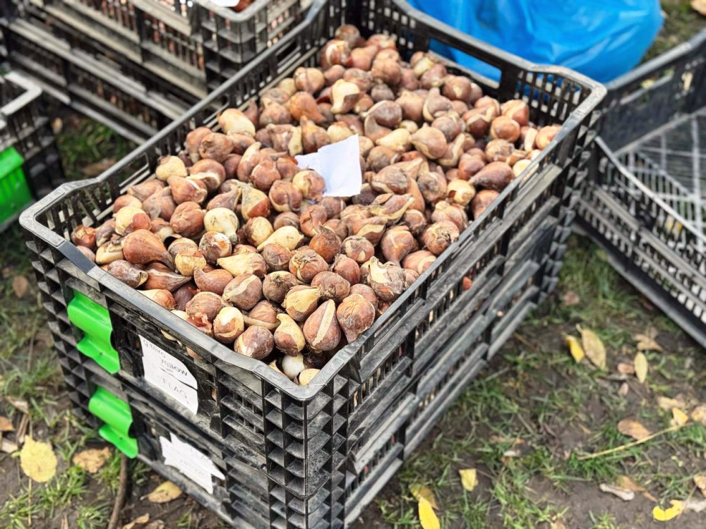 8414 image for slide