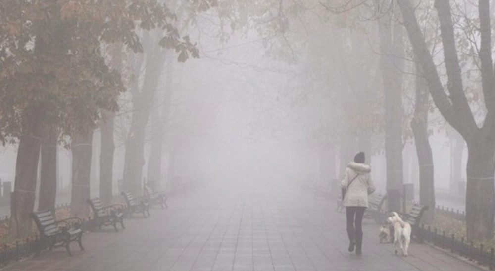 8432 image for slide