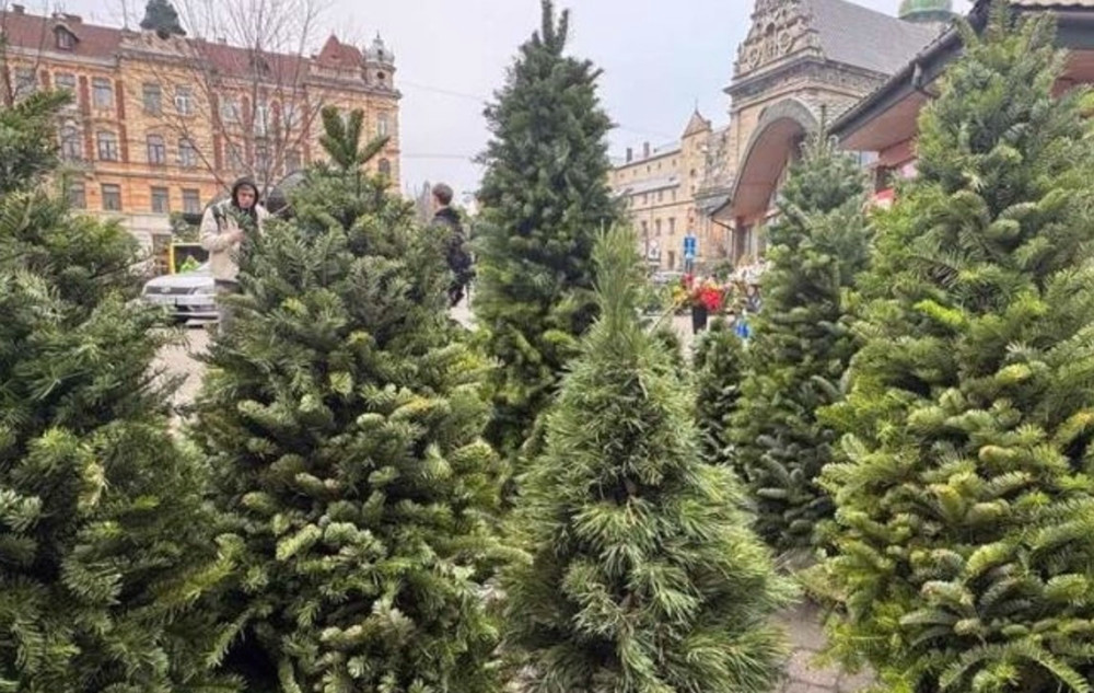 8518 image for slide