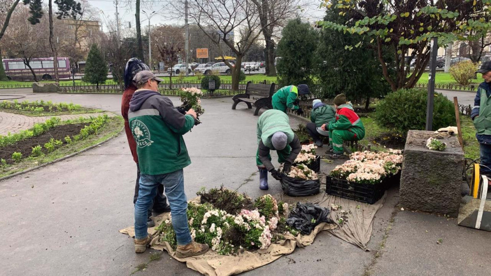 8589 image for slide