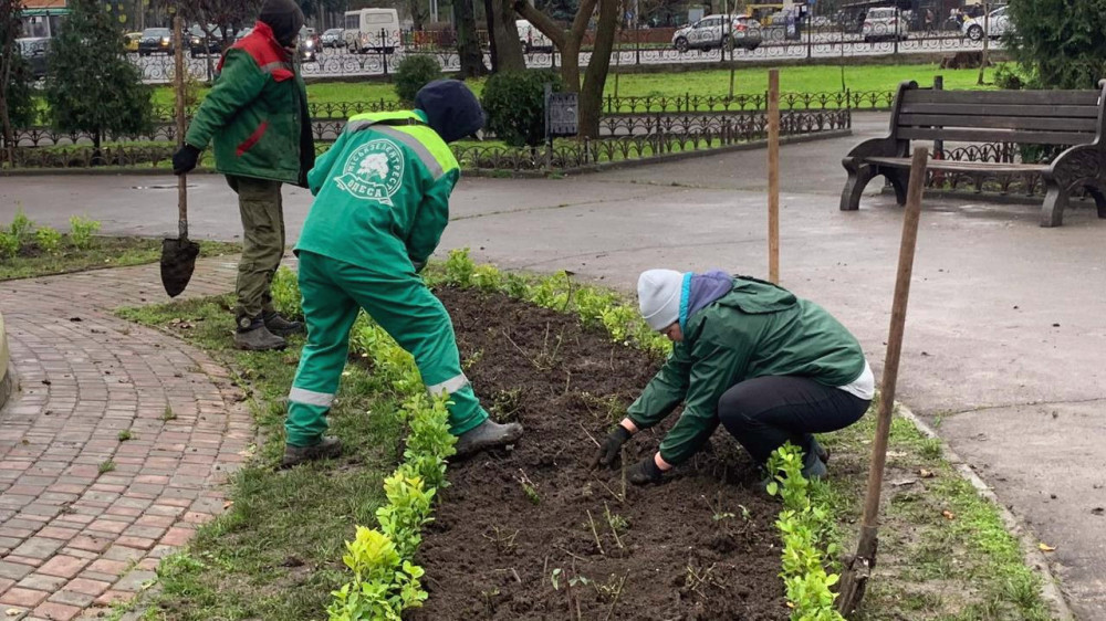 8590 image for slide