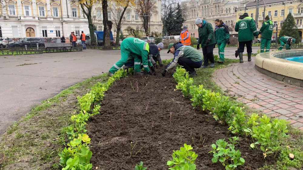 8591 image for slide