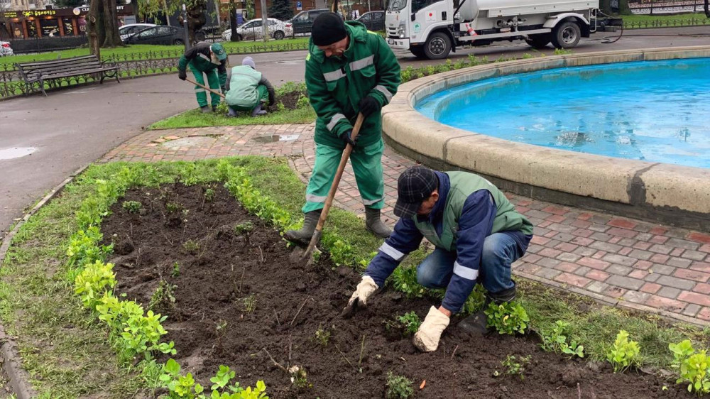 8594 image for slide