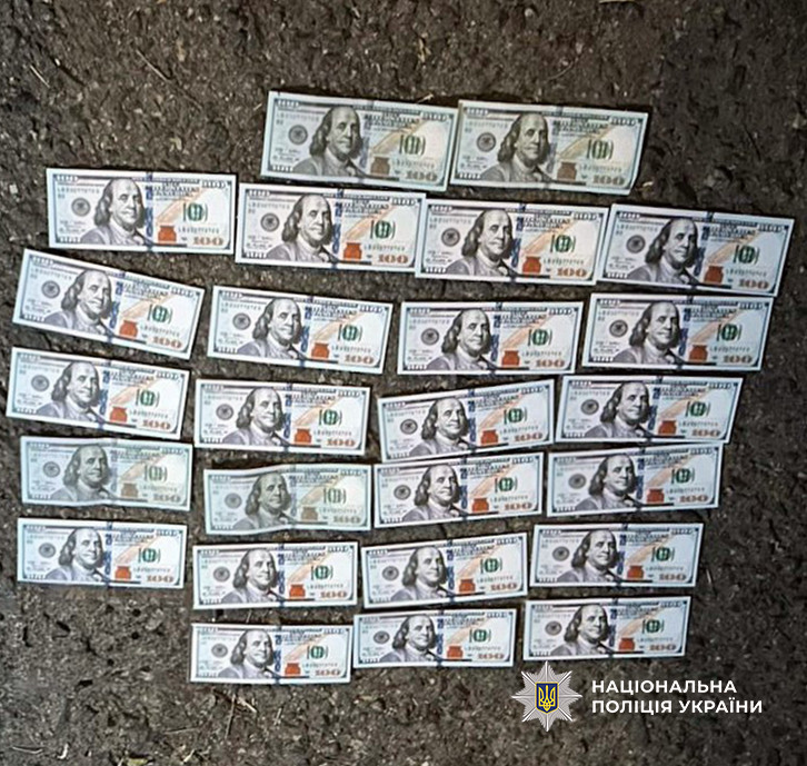 8595 image for slide