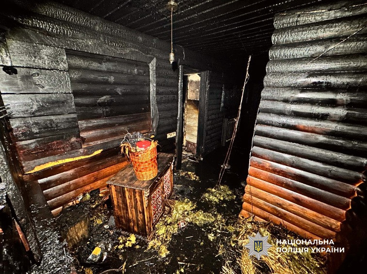 8642 image for slide