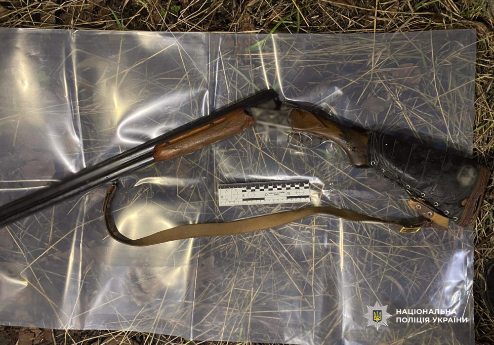 8691 image for slide