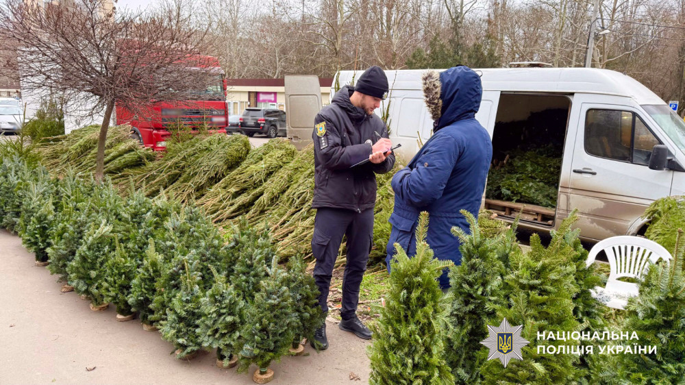 8701 image for slide