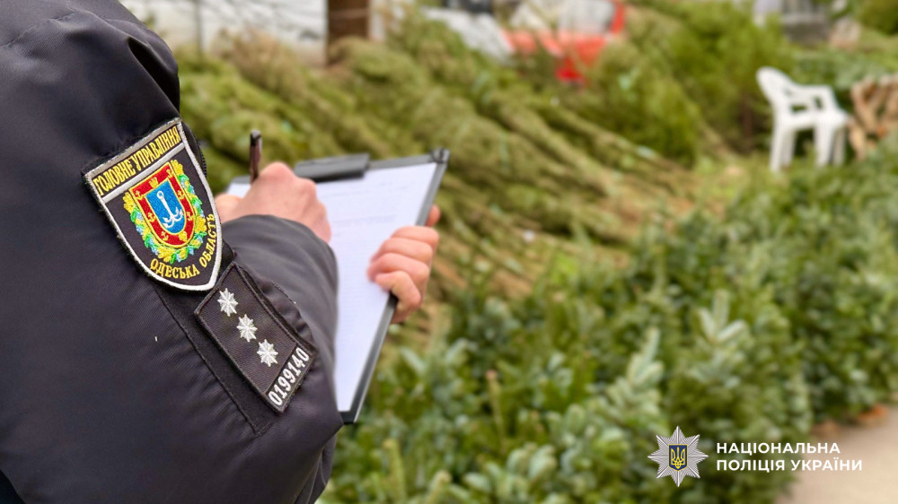 8702 image for slide