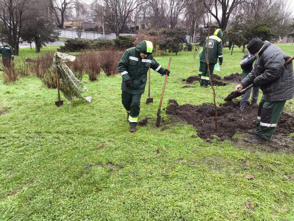 8791 image for slide