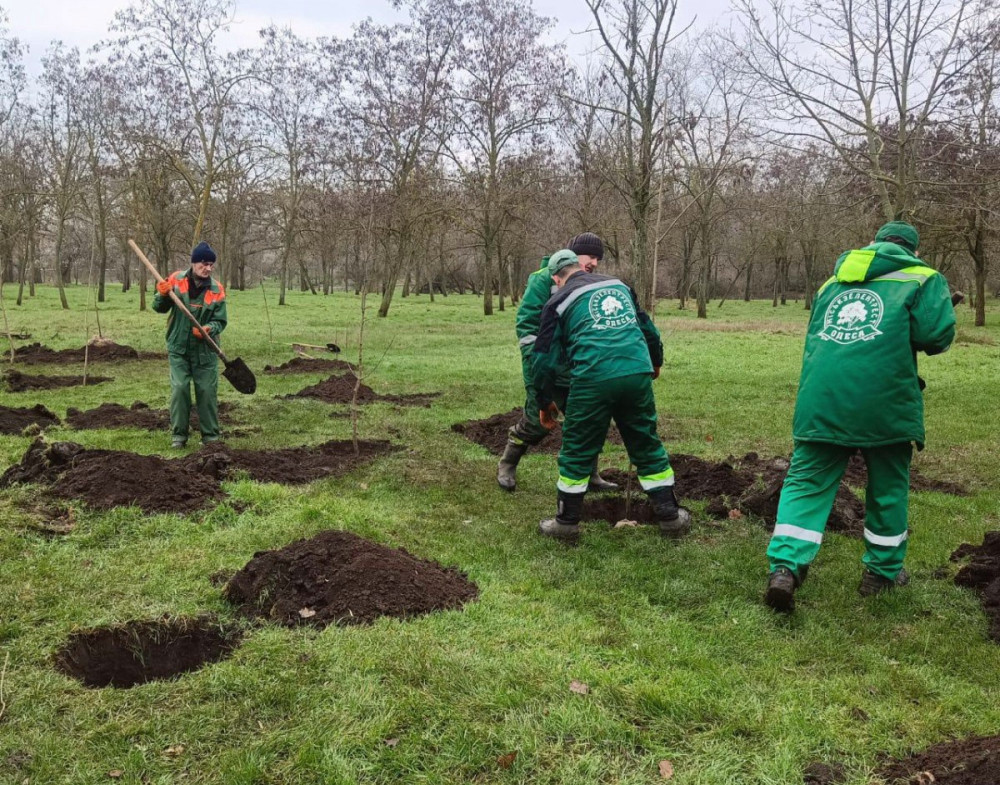 8792 image for slide