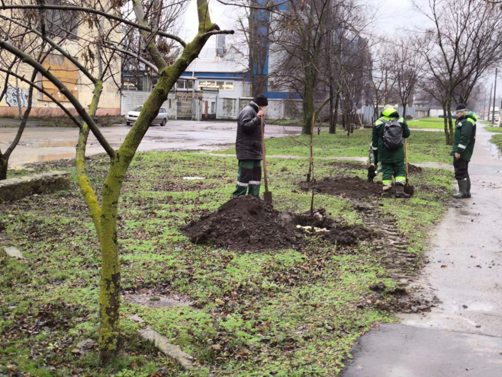 8793 image for slide