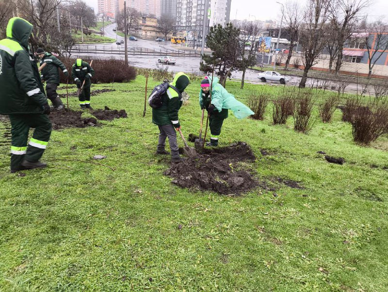 8794 image for slide