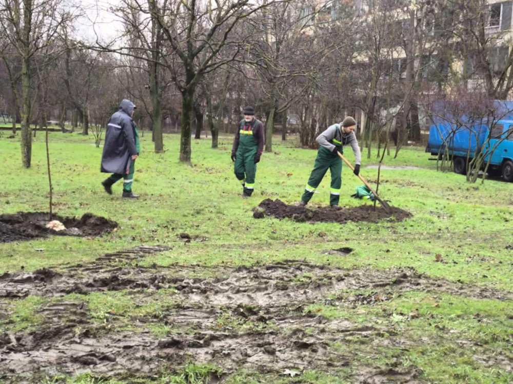 8795 image for slide