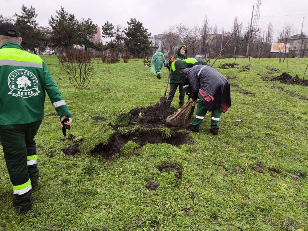 8796 image for slide